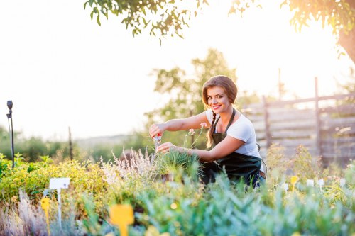 A woman with dark hair, wearing a white t-shirt and a dark apron, is tending to a garden in an outdoor space, with her hands reaching towards a dense bed of flowering plants and shrubs. The garden features a variety of plants with green foliage, some showing purple and yellow flowers, bordered by small push-in plant labels. In the background, a wooden fence and a row of trees are visible under a bright, sunny sky, with warm sunlight illuminating the scene. The lawn areas show well-maintained, lush green grass, and the garden's overall layout suggests a structured, landscaped yard typical of residential outdoor spaces in Pimlico, London. The photograph captures a moment of gardening activity, supported by Gardening Services Pimlico, illustrating a neat and vibrant garden environment suitable for outdoor maintenance and landscaping services.