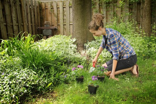 A young woman with brown hair tied back, dressed in a blue checked shirt and black jeans, is kneeling on a well-maintained grassy lawn in a garden, planting small flowering plants in black pots. The garden features a variety of lush green foliage, including broad-leafed plants, bushes, and a mature tree trunk with textured bark visible in the background. The garden is enclosed by a wooden fence, and there is a small, dark-colored outdoor wood-fired oven or barbecue in the corner, partially obscured by foliage. The scene is outdoors on a bright day with natural light illuminating the garden, and the overall environment appears tidy, peaceful, and suitable for outdoor gardening activities. This setting illustrates typical garden maintenance work, aligning with professional gardening services offered by Gardening Services Pimlico, emphasizing attention to detail in plant care and landscape enhancement in the Pimlico area of London.